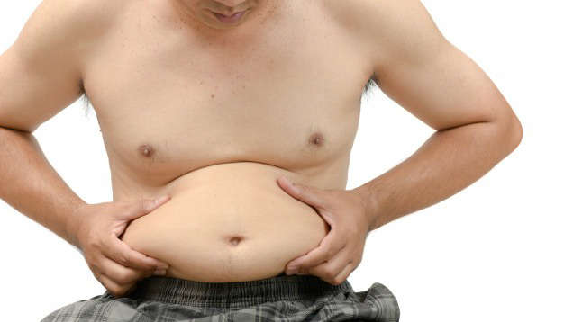 Investigadores aseguran que el metabolismo lento no causa sobrepeso: metabolismo lento sobrepeso heelprobiotics heelespana - HeelEspaña