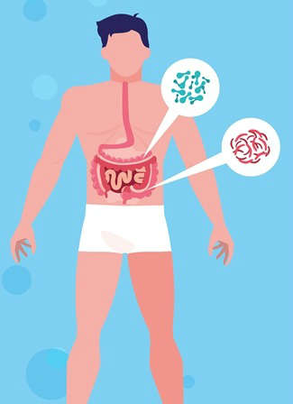 ¿Existe una clara relación entre probióticos y piel ? - HeelProbiotics - HeelEspaña