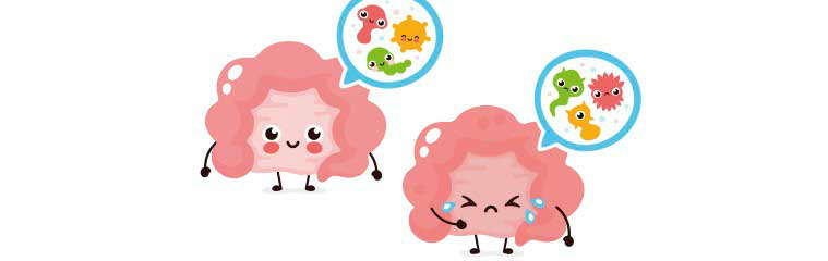 Microbiota intestinal y enfermedades