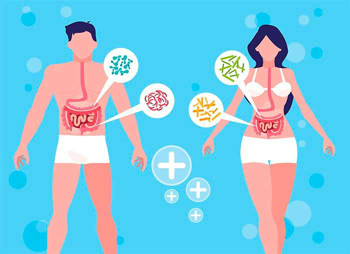 Microbiota y enfermedades: relaciones - HeelEspaña