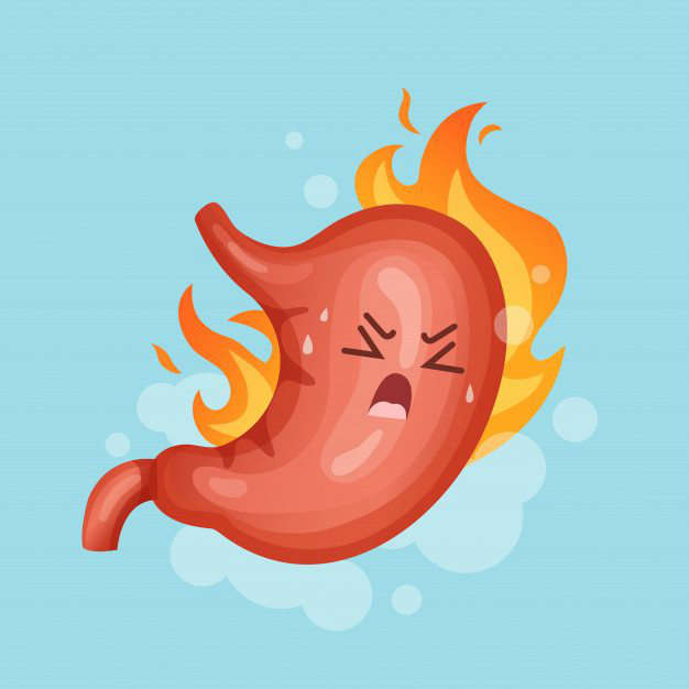Sensibilidad a los alimentos e hinchazón abdominal: ardor estomago heelespana - HeelEspaña
