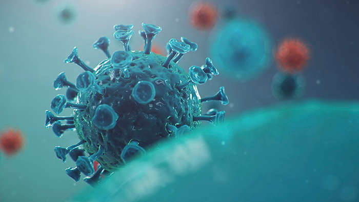 ¿Puede producir el coronavirus afecciones en la piel?: coronavirus piel heelprobiotics heelespana - HeelEspaña