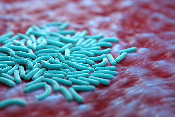 Relación entre microbiota y alergia: investigacion microbiota alergia - HeelEspaña