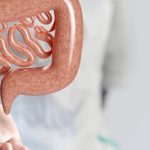 Cómo fortalecer y equilibrar tu microbiota intestinal: barrera intestinal 150x150 - HeelEspaña