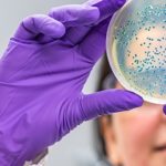 Porqué la composición de la microbiota influye en los síntomas del covid