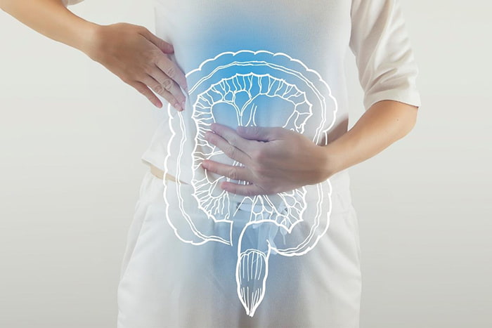 Acción de los simbióticos en alteraciones del tránsito intestinal: enfermedades transito intestinal - HeelEspaña