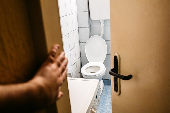 Gayuba, solución natural contra infecciones urinarias: infeccion orina gayuba - HeelEspaña