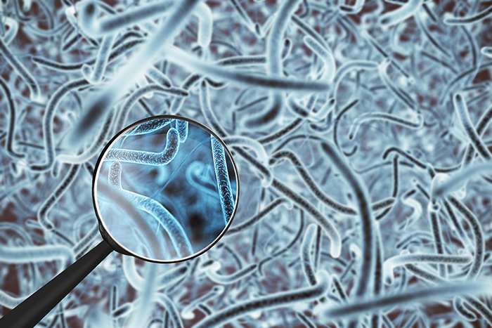La microbiota de la piel sufre con la llegada del invierno: microbiota piel composicion - HeelEspaña