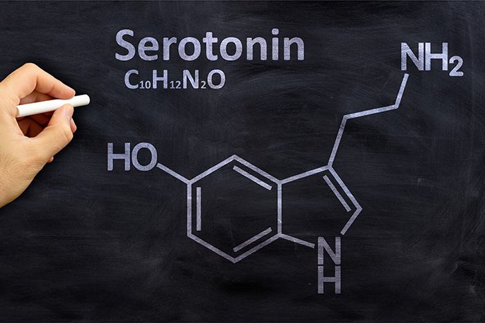 Producción de serotonina a través de triptófano: serotonina - HeelEspaña