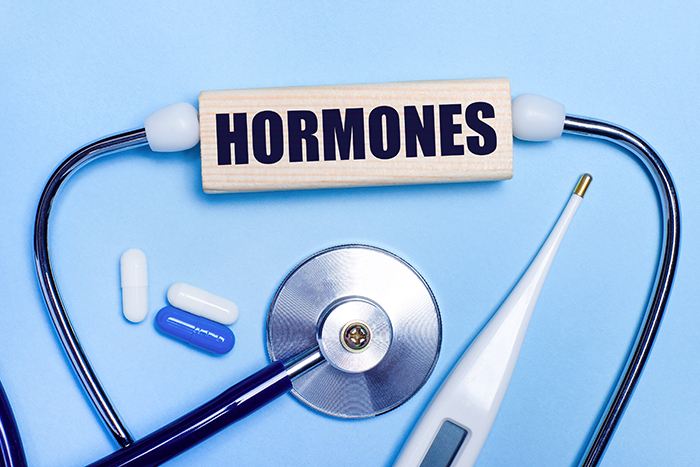 El papel de las hormonas en el funcionamiento del metabolismo: hormonas metabolismo - HeelEspaña