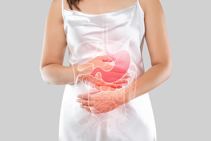 Lactobacillus y su función en el tránsito intestinal: efecto lactobacillus - HeelEspaña