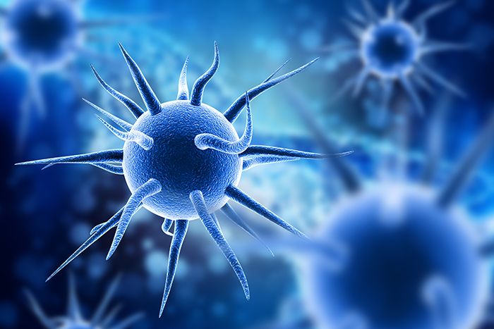 Anticuerpos y su función de defensa en nuestro organismo: anticuerpos virus - HeelEspaña